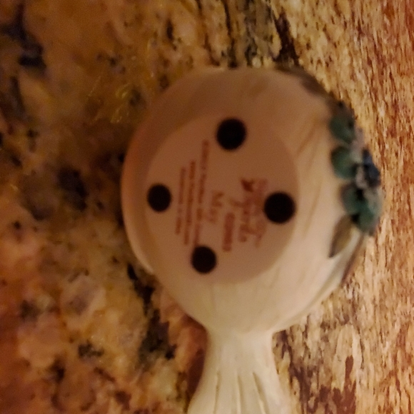 SIMPLE SPIRITS BIRD May 2013 - Picture 3 of 7